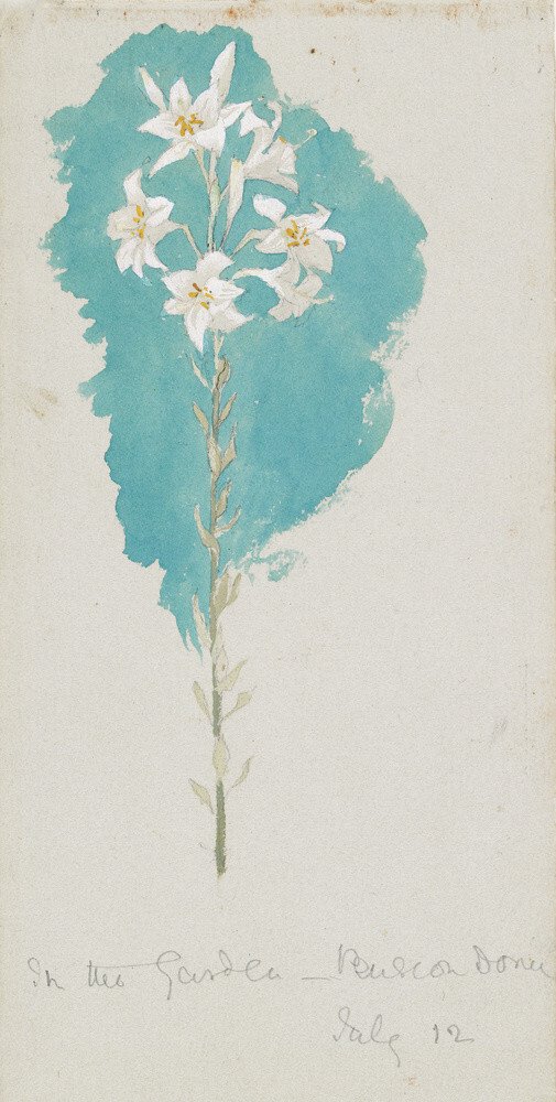Study of a Lily (Leaf from a Sketch-Book of Norwegian Scenes)