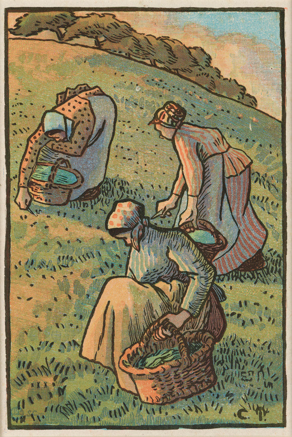 Femmes faisant de l’herbe (Women Weeding the Grass)