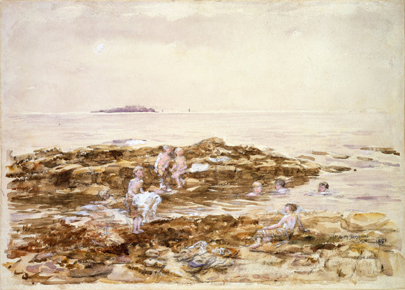 A Bathing Pool of the Isle of May