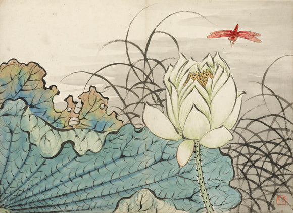 Lotus flower and dragonfly
