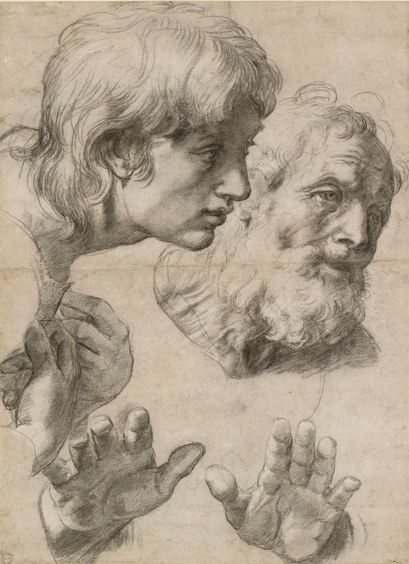Studies of the Heads of two Apostles and their Hands