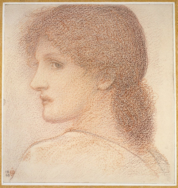 Study of a Woman's Head, turned to Left