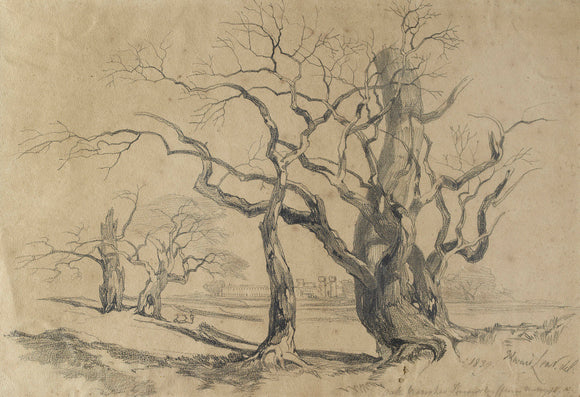 Oak Trees at Knowsley, 1839