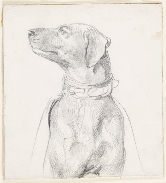 Recto: Study of a Dog
