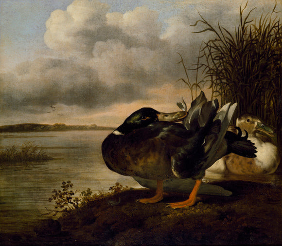 A Pair of Ducks in a Landscape, 1659