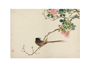 Bird sitting on a branch with pink flowers