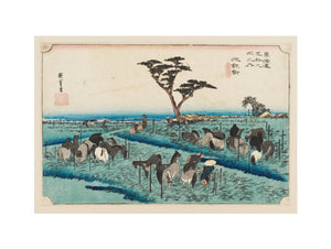 Chiryu: Early Summer Horse Fair