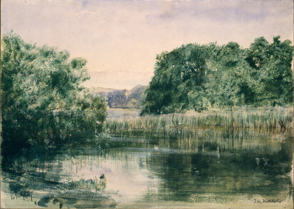 View of a Lake with Trees