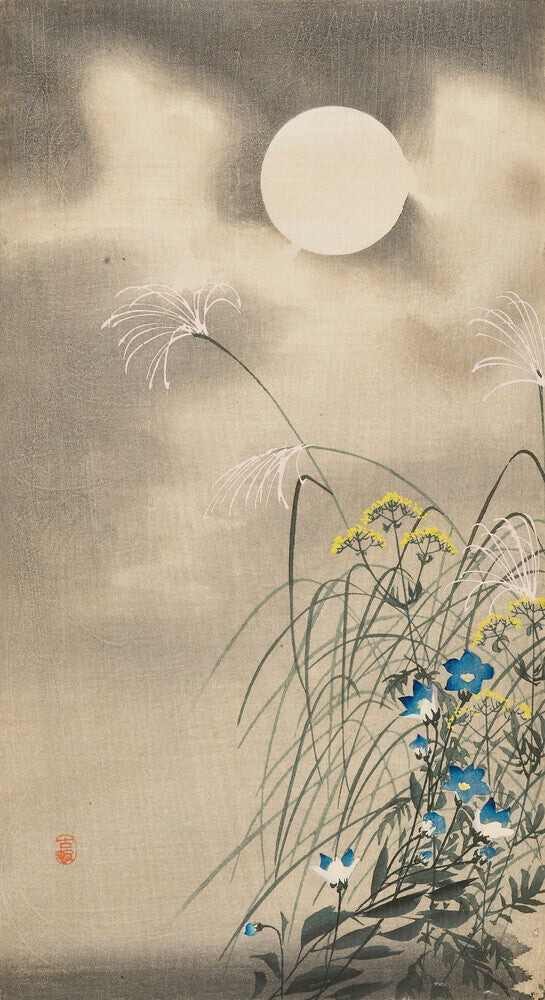 Autumn grasses in the moonlight