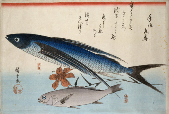 Flying fish, ishimochi fish (scioena schlegelii/white croaker) and lily