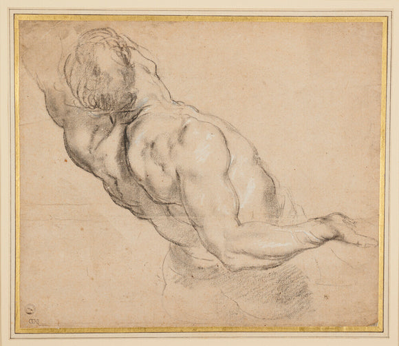 Study of a nude male torso, seen partly from behind, arms outstretched and muscles taut