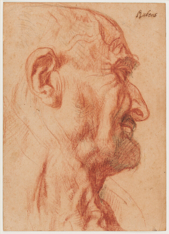 Head of a Bald Man in profile to the right