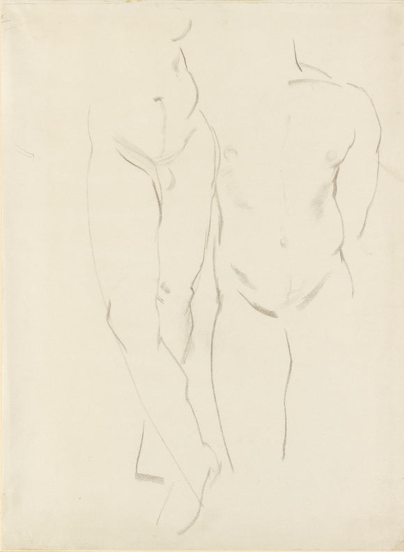Study of a male Torso and Legs