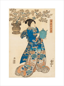 Beauty holding a water pot with a large flowering cherry spray in a pot behind her