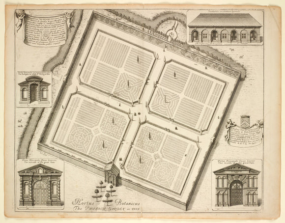 Hortus Botanicus, or the Phisick Garden (Botanic Garden), from 'Oxonia illustrata' (1675)