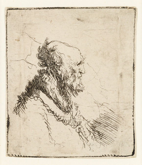 Bald old Man with a short Beard, in profile right
