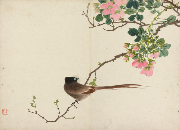 Bird sitting on a branch with pink flowers