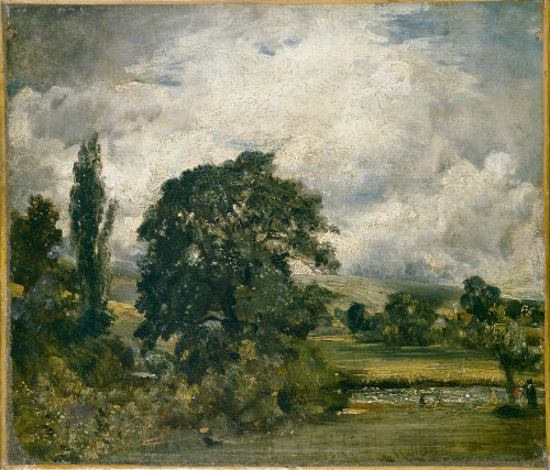 Water Meadows near Salisbury