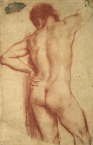 Study of a nude Man