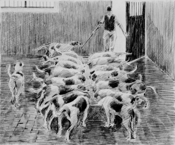 Hounds feeding