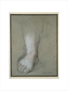 Study of a Foot