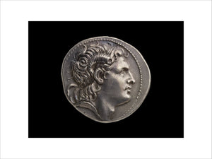 Head of Alexander / Athena