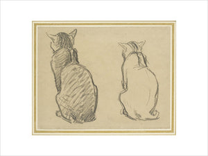 Two Studies of a Cat