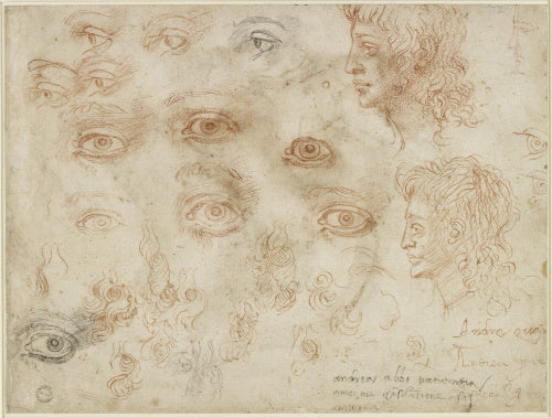 Verso: Various sketches of Eyes and Head profiles