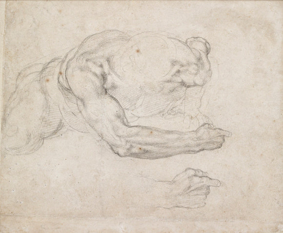 Study of a Man rising from the Ground