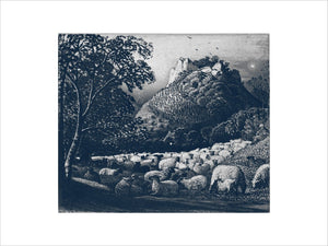 The Flock and the Star