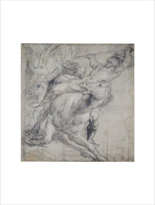 Horse and Rider falling
