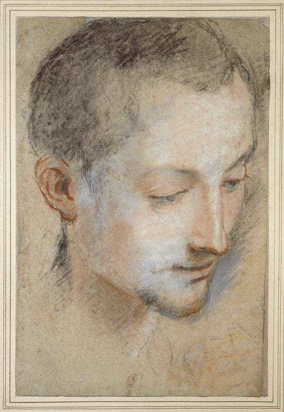Study of a young Man's Head