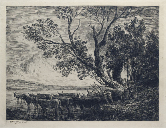 The Ford