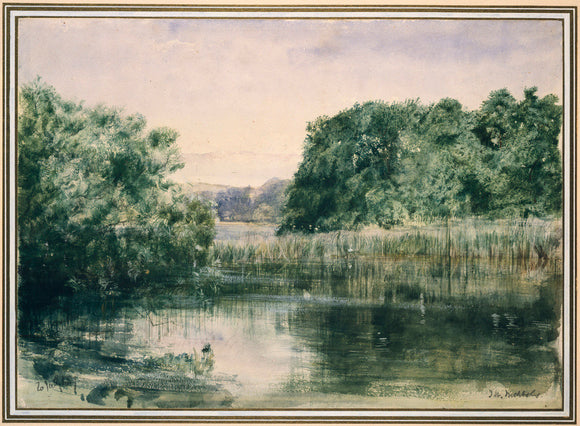 View of a Lake with Trees