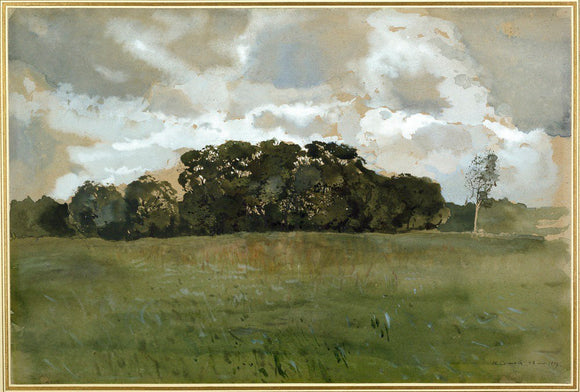 Landscape with grey Clouds