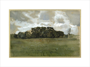 Landscape with grey Clouds