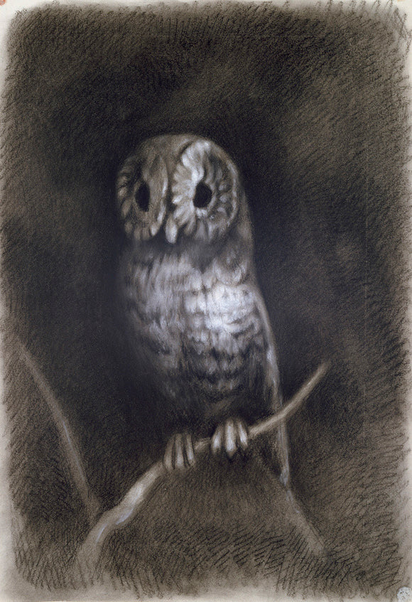 Owl in Mantegna's Fresco of the Martyrdom of St James
