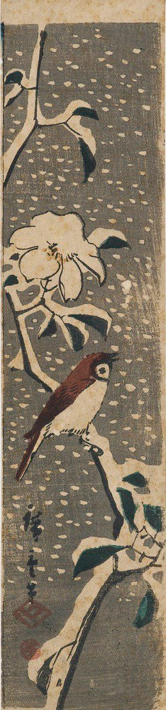 Bird with brown wings & white breast on flowering spray, snow covered
