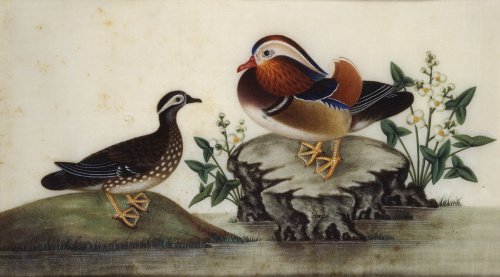Two mandarin ducks and flowering water plants by a pond