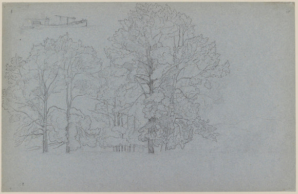 Study of trees, with a slight study of a barge