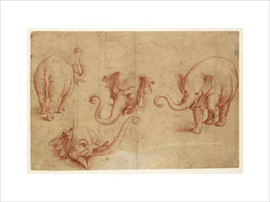 Four Studies of an Elephant