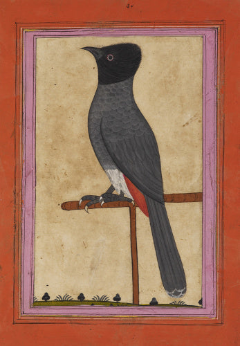 A bird on a perch