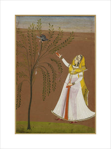Lady feeding a bird in a tree