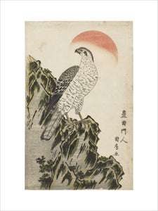 An eagle standing on a rocky ridge; red sun.