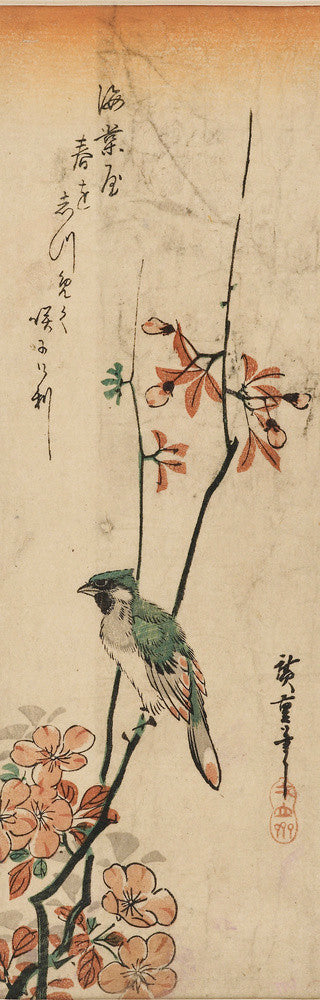 Crested bird with green & pink plumage on a spray of peach blossom
