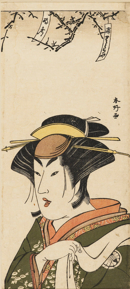 Bust portrait of Segawa Kikujiro as a woman.
