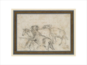 Study of Four Sheep
