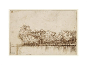 Trees by a Stretch of Water