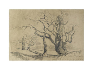 Oak Trees at Knowsley, 1839