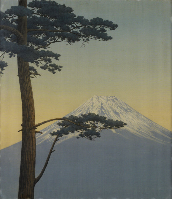 Pine tree and Mount Fuji